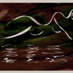 junelavonne_30409